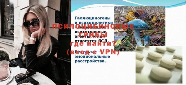 прущая мука Арсеньев